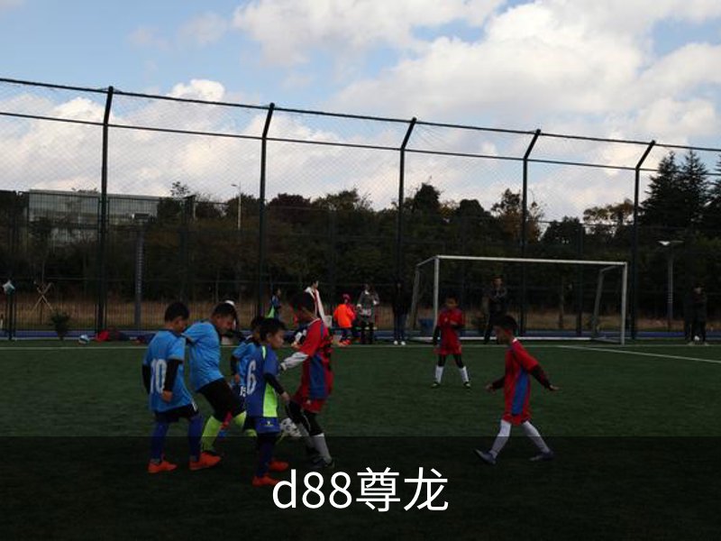 d88尊龙品牌故事